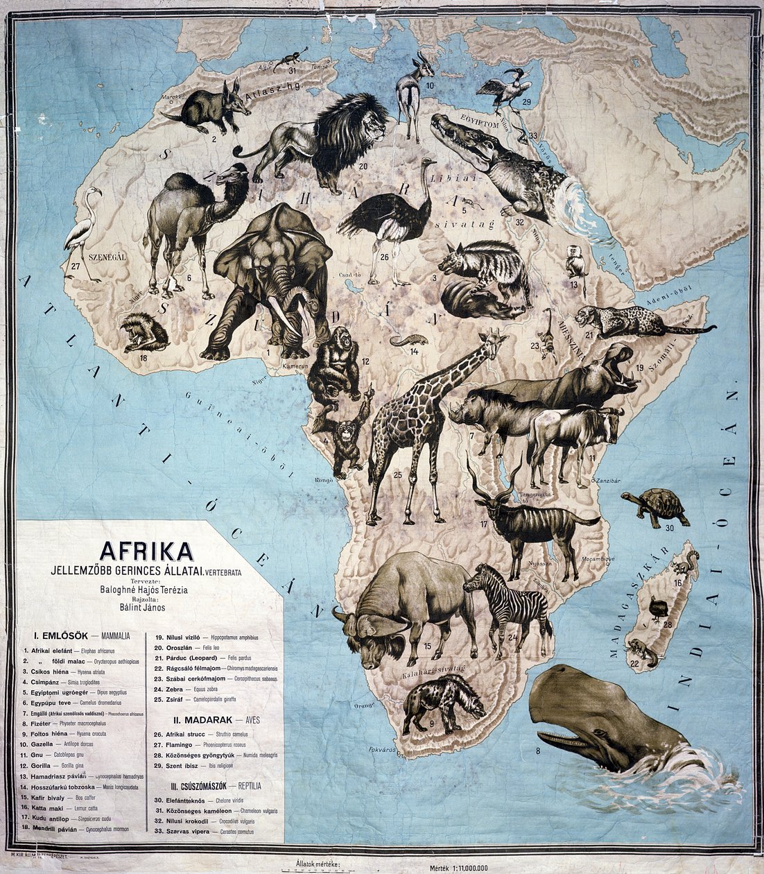 アフリカの動物の地図（カラー彫刻）Sf 作： ヤノス・バリント