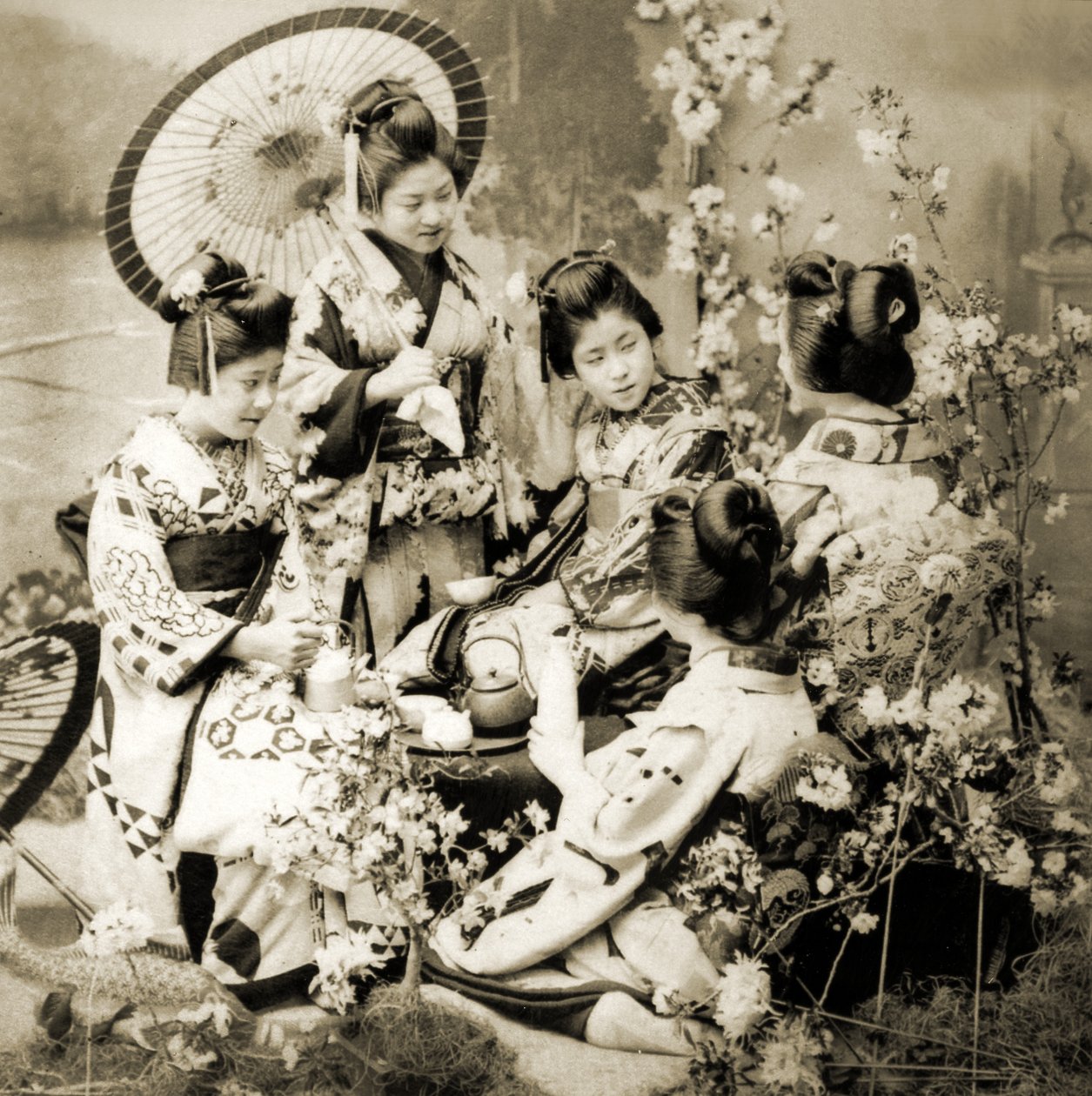 桜の中で、1900年頃（アルブメン写真） 作： 日本の写真家