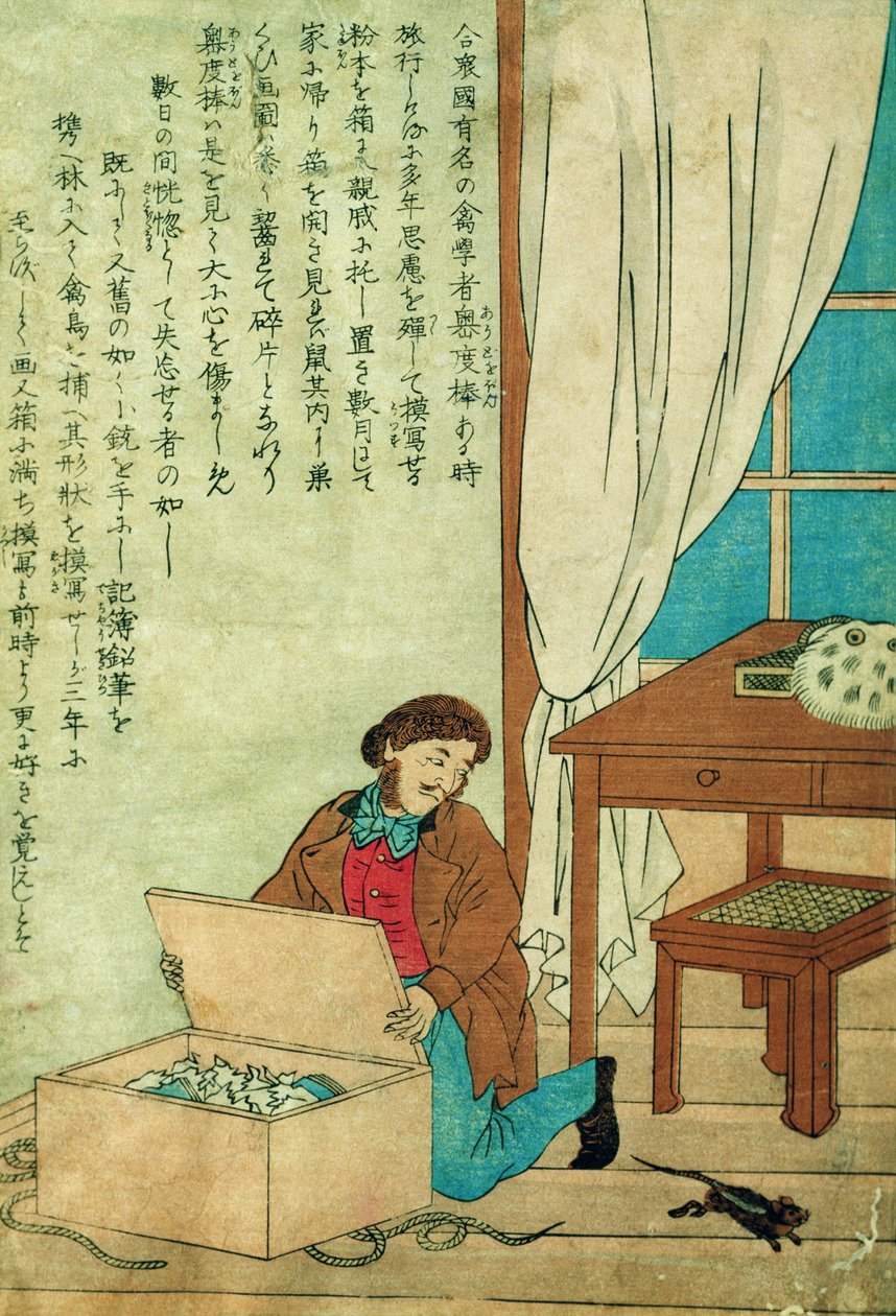 日本への旅行中のJJオーデュボン（1785-1851）はネズミを破壊します、1840年頃 作： 日本語学校