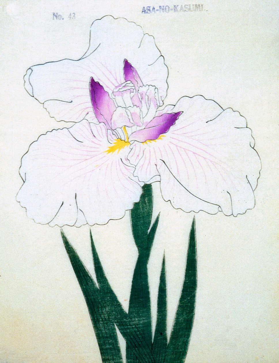 Asa-no.-Kasumi, no.43, 1898  作： 日本語学校