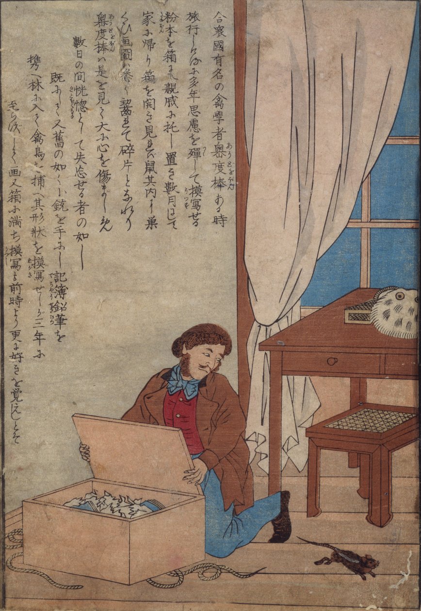 オーデュボンがノルウェーのネズミによって破壊された水彩画の箱を開けたc.1872-77 作： 日本語学校