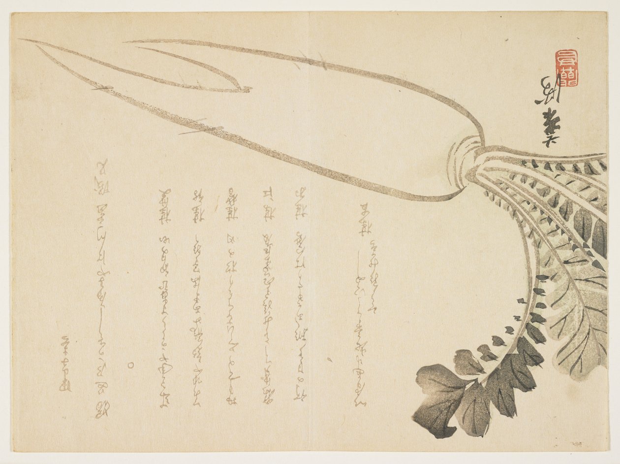 1864年1月大根大根（カラー木版） 作： 日本語学校