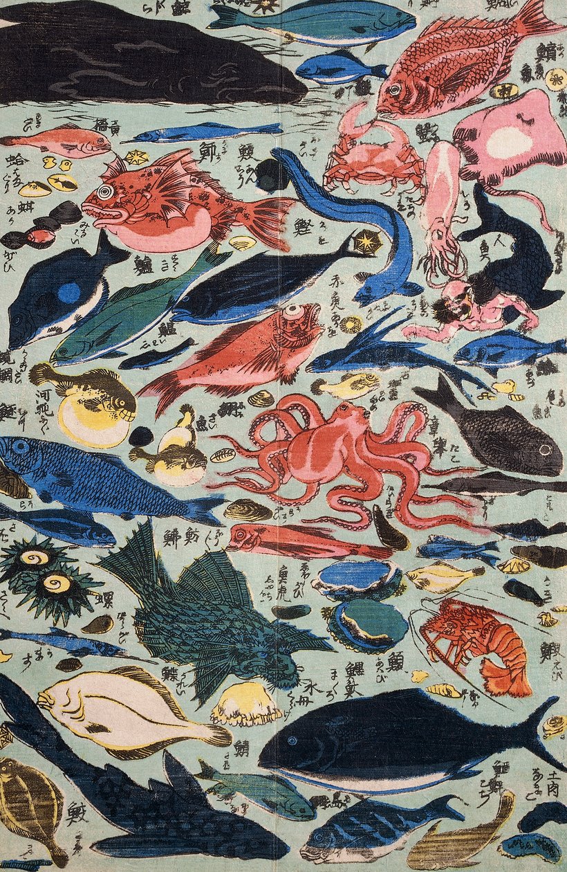 鮮魚、軟体動物、甲殻類 作： 日本語学校