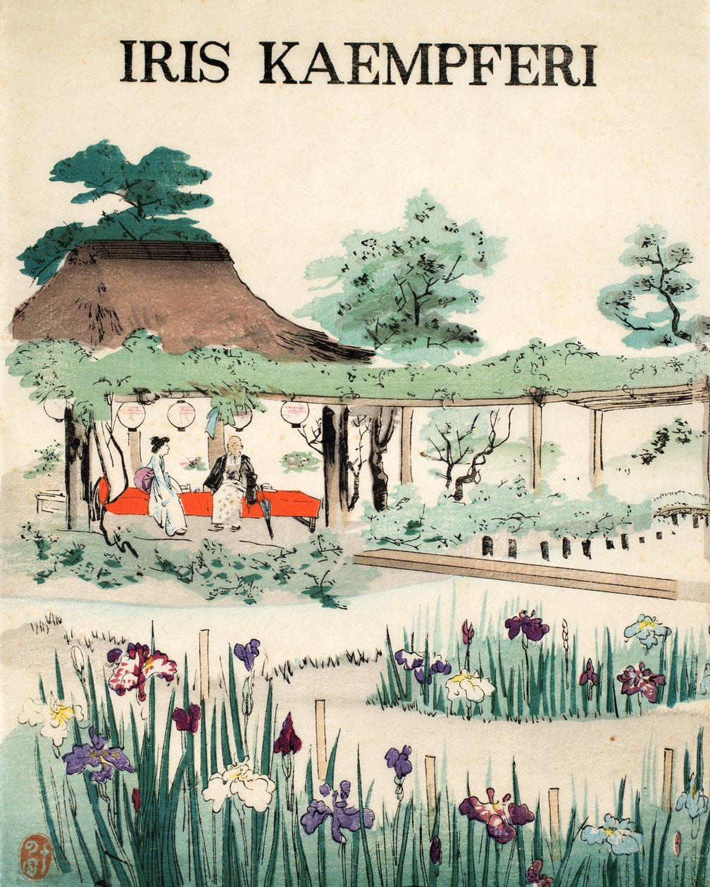 アイリス・ケンフェリ-表紙、1890 作： 日本語学校