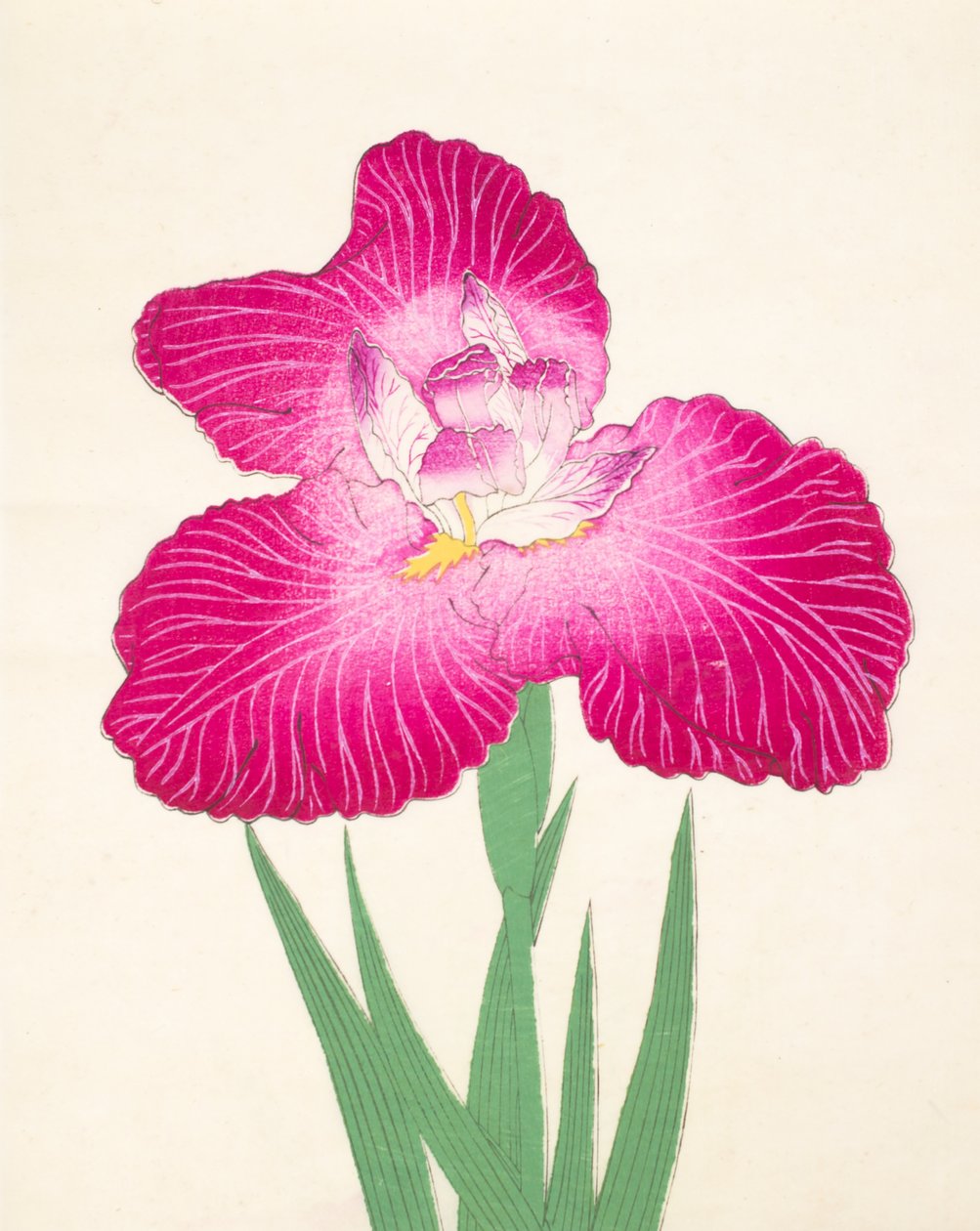Kyo-Kano.ko, no.24, 1898  作： 日本語学校