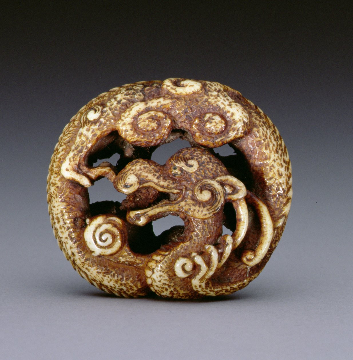 水竜を描いた根付c.1870-80（鹿の角） 作： 日本語学校
