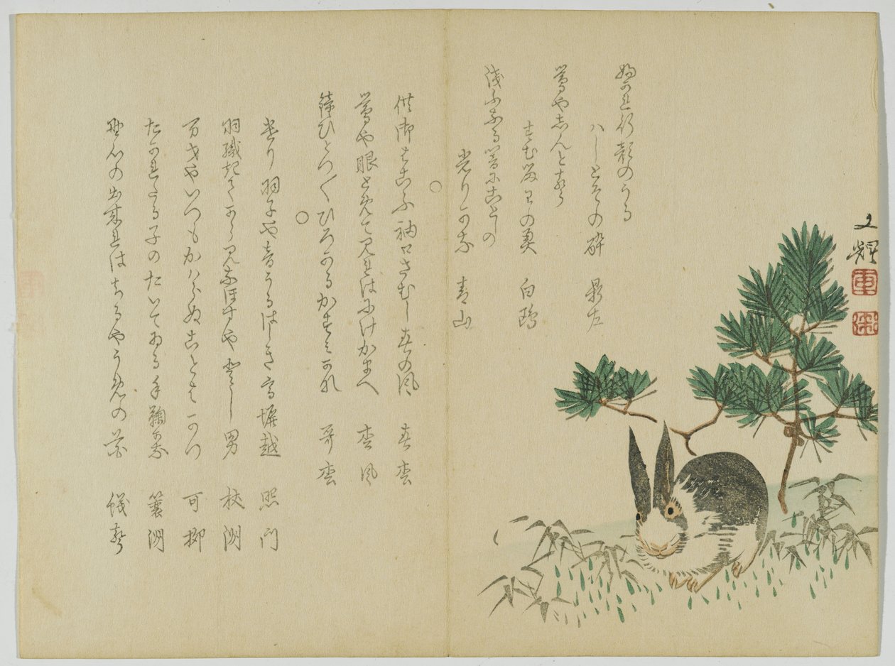 ニューイヤーズパインの下のウサギ、1860年頃（木版画） 作： 日本語学校