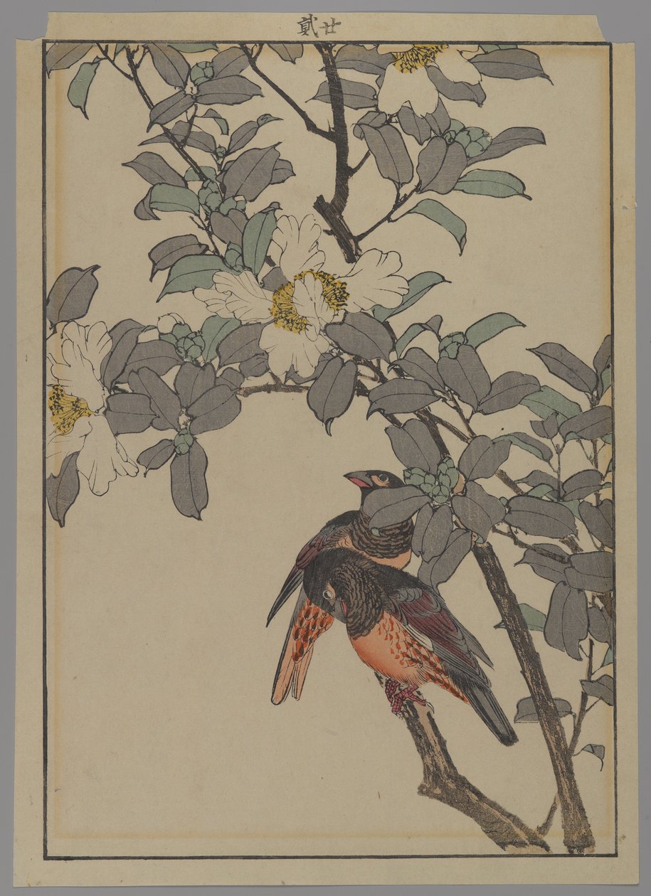 白い花を持つ2羽の鳥、明治時代、1892年（色木版画） 作： 日本語学校