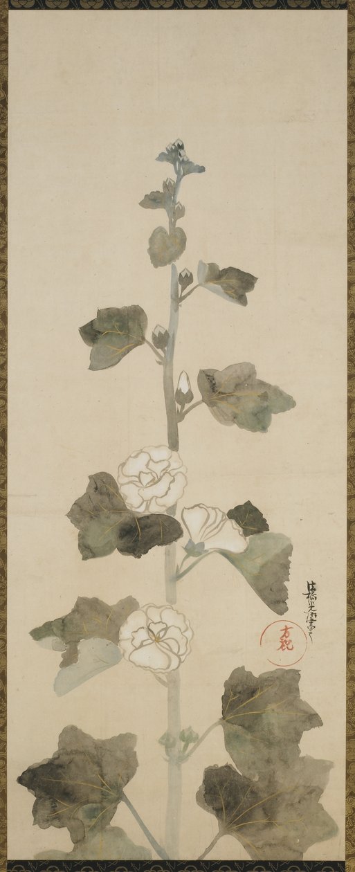 白いタチアオイ、江戸時代、1615〜1868年（紙にインク、色合い、金） 作： 日本語学校