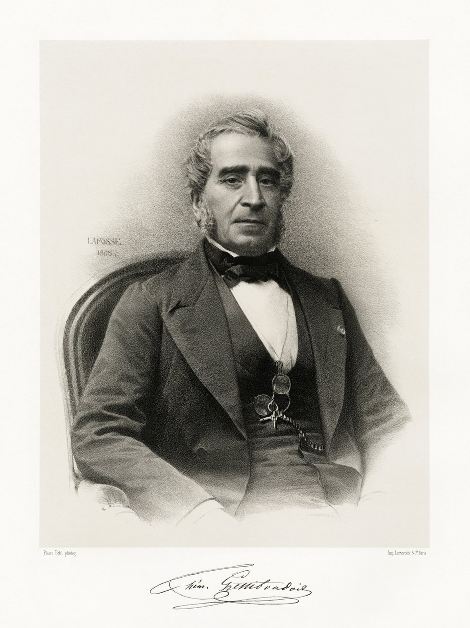 GaspardThémistocleLestiboudois、1865-66 作： ジャン・バプティスト・アドルフ・ラフォッセ
