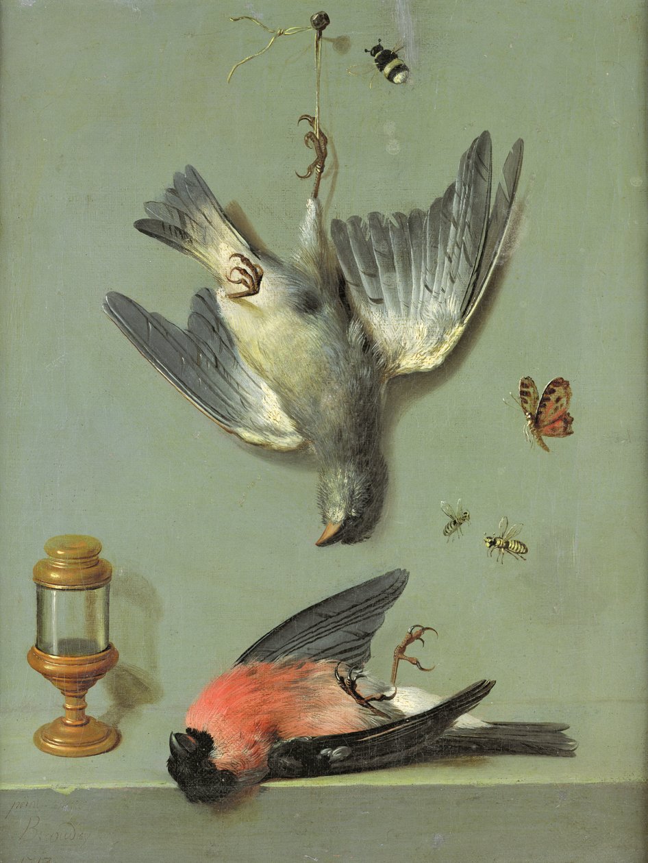 鳥と昆虫のいる静物、1713 作： ジャン・バプティスト・オードリー