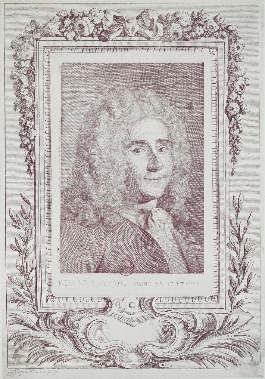 ルネアントワーヌフェルショードレオミュール（1683-1757） 作： ジャン・ギヨーム・ブランション