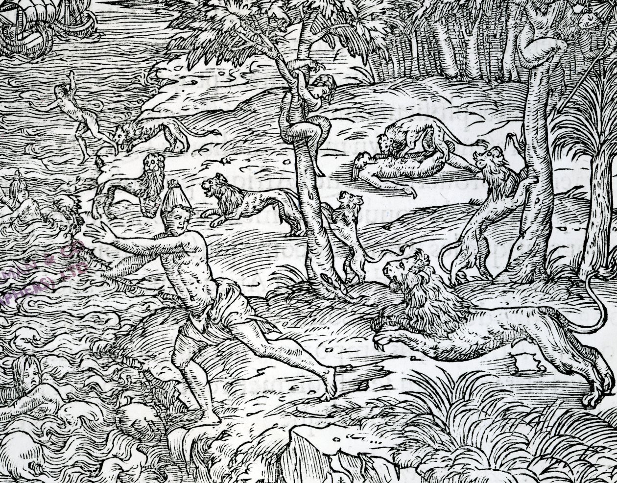 ライオンズが人間を攻撃して食べる、アンドレテヴェによる「フランスの古代遺跡」のイラスト、1558年発行 作： いとこジャン