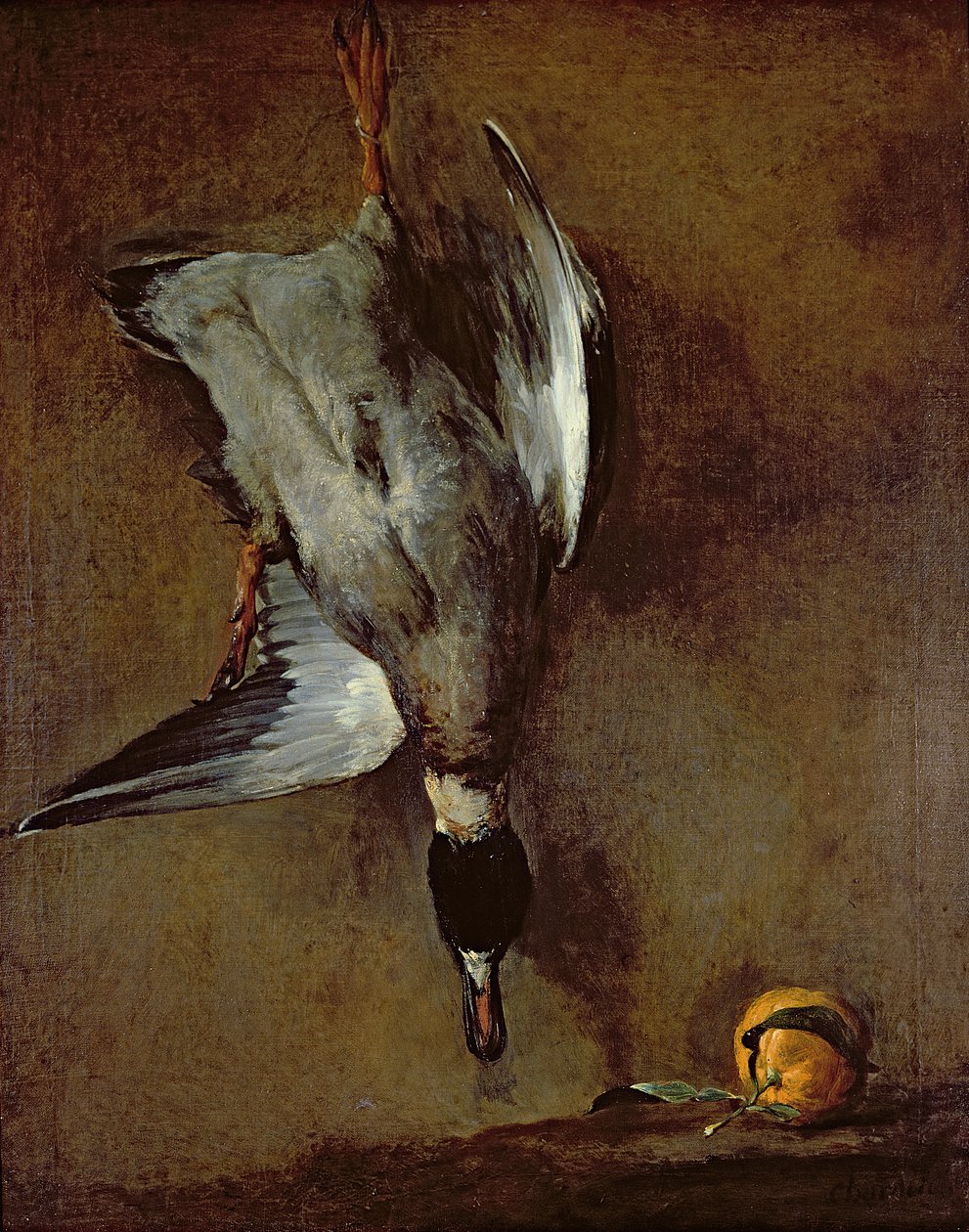 セビリアオレンジの壁に掛かっているマガモ（1720-30オイルNキャンバス） 作： ジャン・バプティスト・シメオン・シャルダン