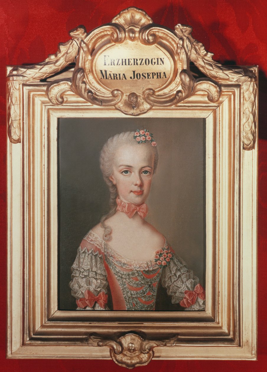 オーストリアのフランシス1世と皇后マリアテレジアの娘、マリアジョセフア（1751-67年）、1762年 作： ジャン・エティエンヌ・リオタード