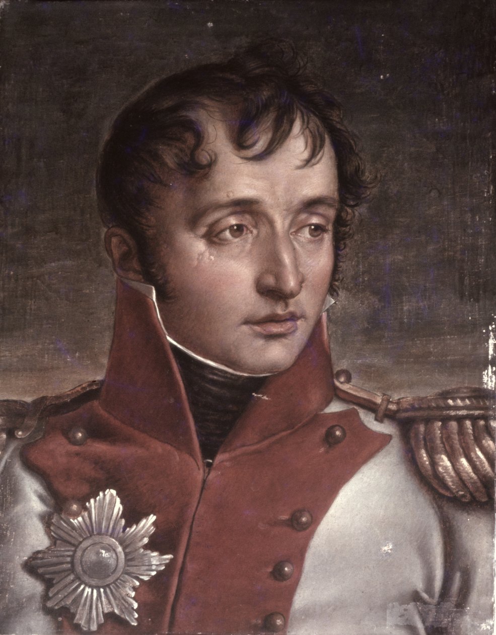 ルイ・ボナパルトの肖像（1778-1846）オランダ王、1805-34年頃 作： ジャン・バプティスト・ジョセフ・ウィカー