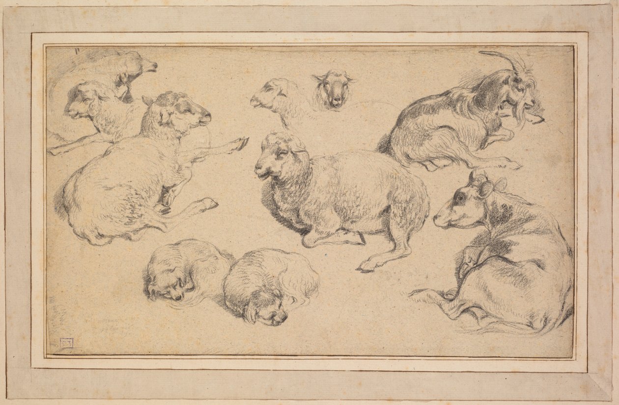 ヒツジ、ヤギ、イヌの研究シート c. 1780年。 作： ジャン・バティスト・マリー・ヒュート
