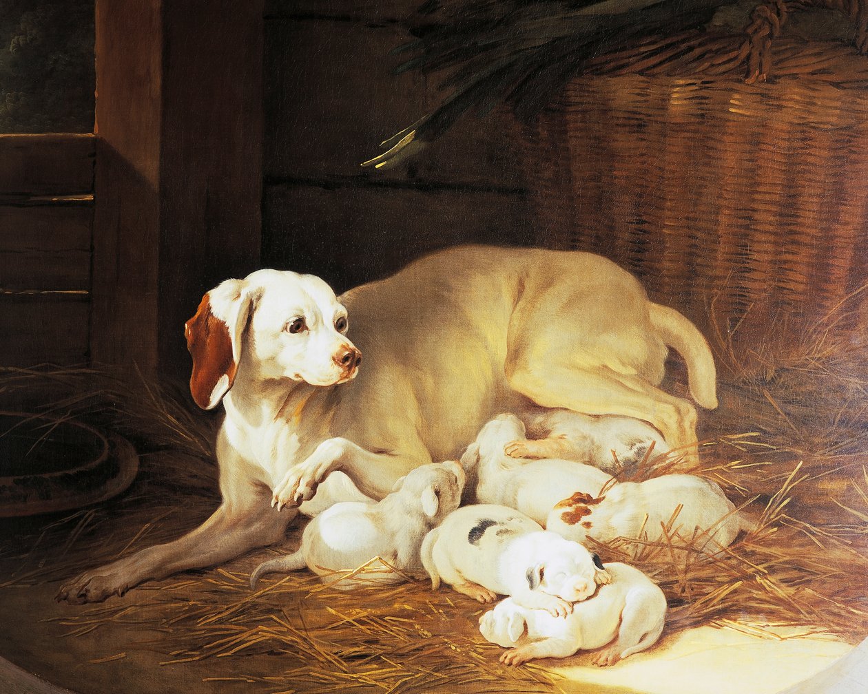 ジャン＝バティスト・オードリー（1686-1755）作「Lise et ses petits」の細部「子犬をあやす雌犬」（フランス 作： ジャン・バプティスト・オードリー