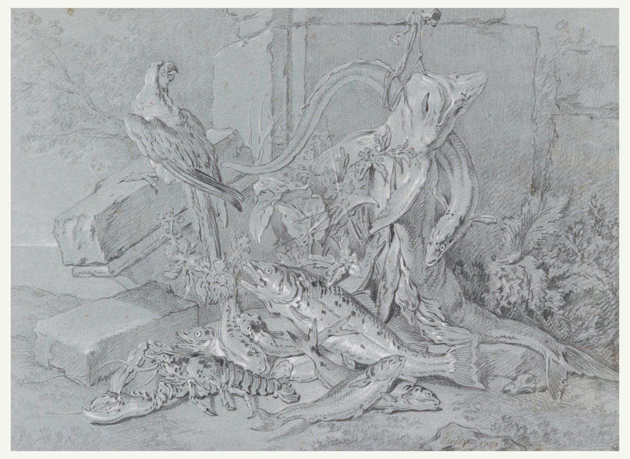 素描《魚とオウムのいる静物》1740年 作： ジャン・バプティスト・オードリー