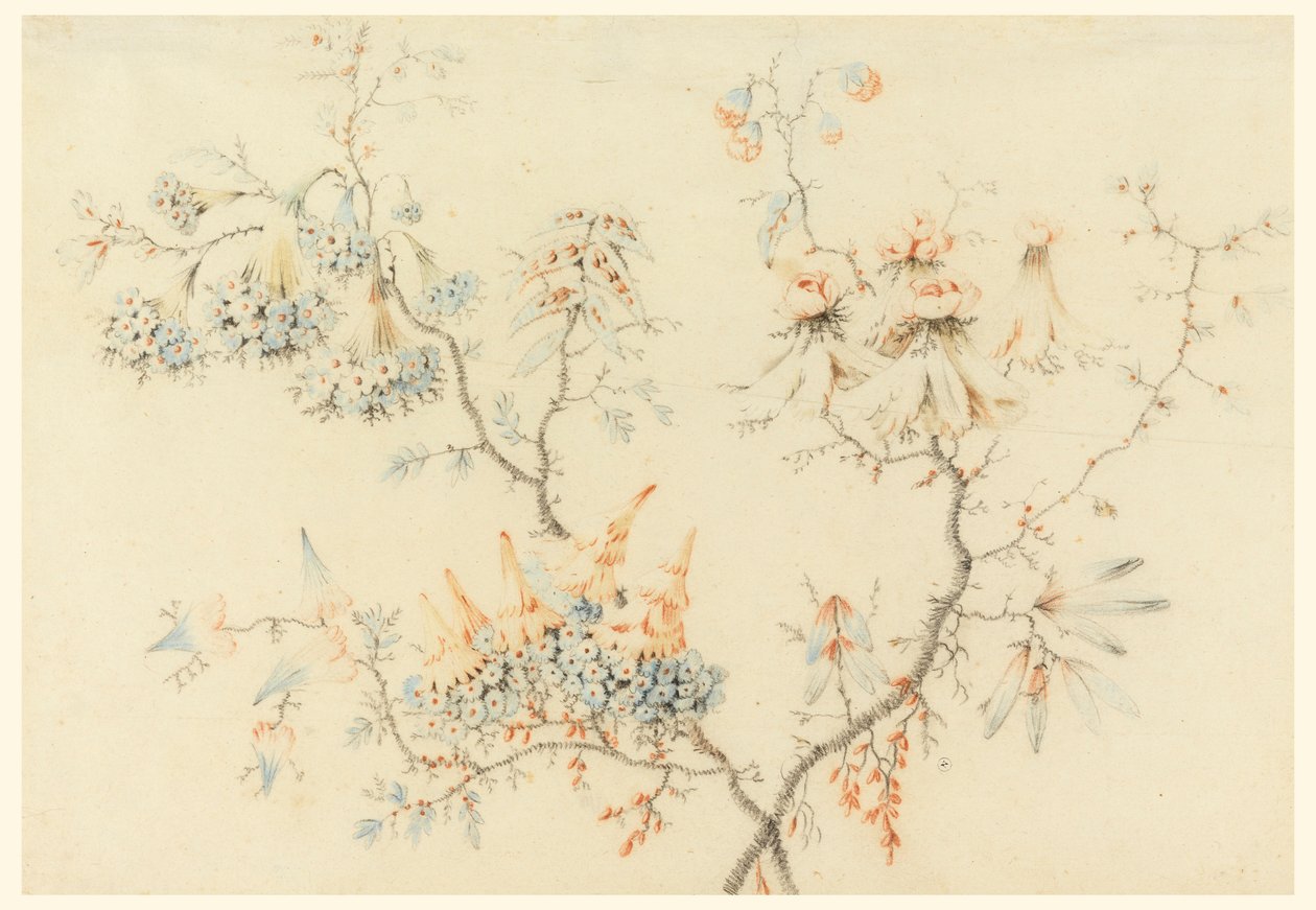デッサン、花の枝、1775-1800年 作： ジャン・バプティスト・ピレメント