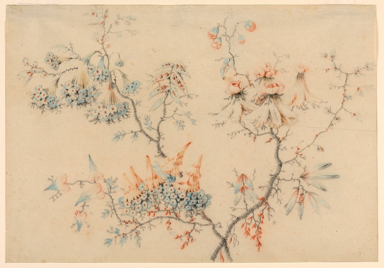 デッサン、花の枝、1775-1800年 作： ジャン・バプティスト・ピレメント