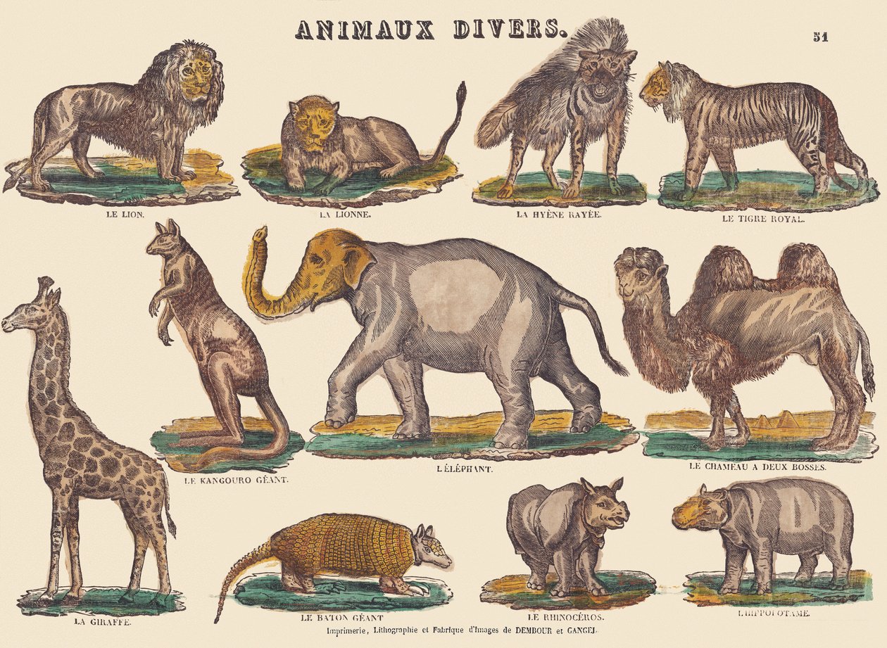 様々な動物 1840-1852年頃（リトグラフ） 作： ジャン＝バティスト・ティボー