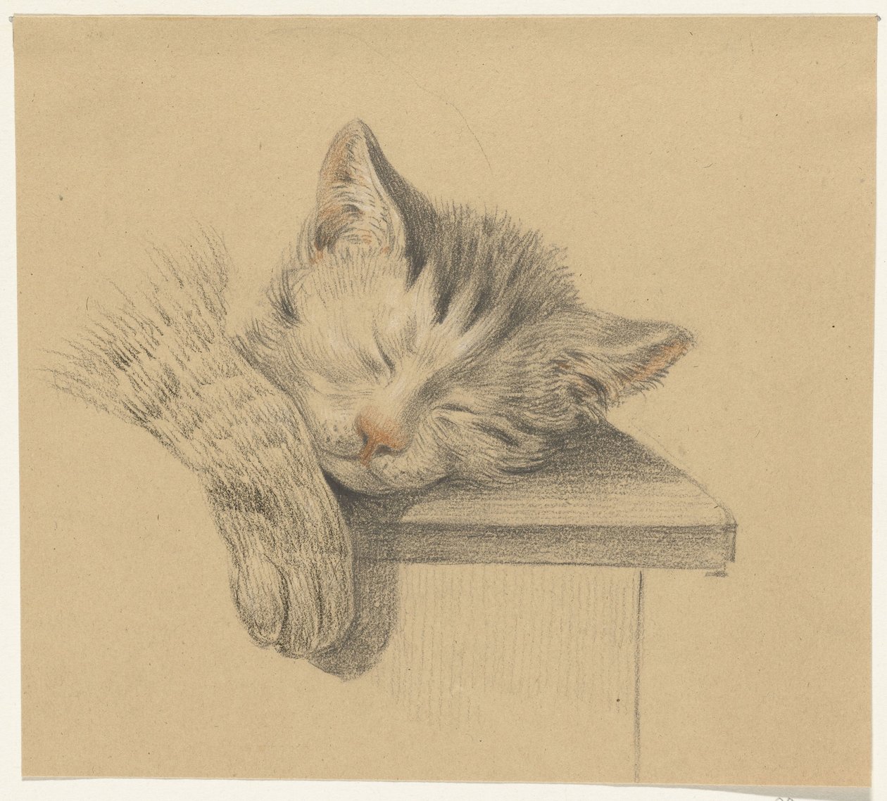 眠っている猫の頭と足 作： ジャン・バーナード