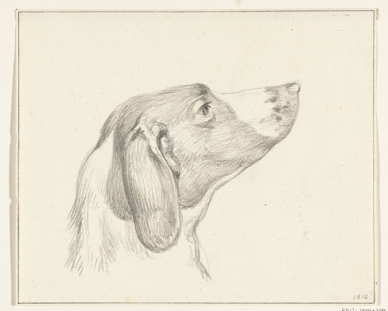 犬の頭、右側 作： ジャン・バーナード