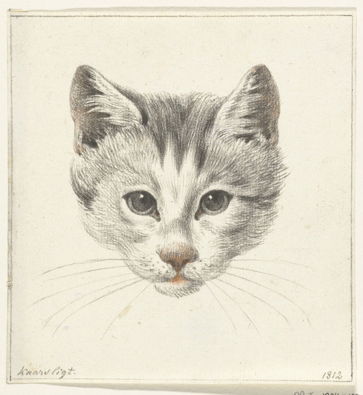 ろうそくの明かりで正面から見た猫の頭 作： ジャン・バーナード
