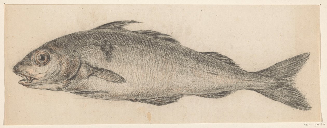 魚、左へ 作： ジャン・バーナード