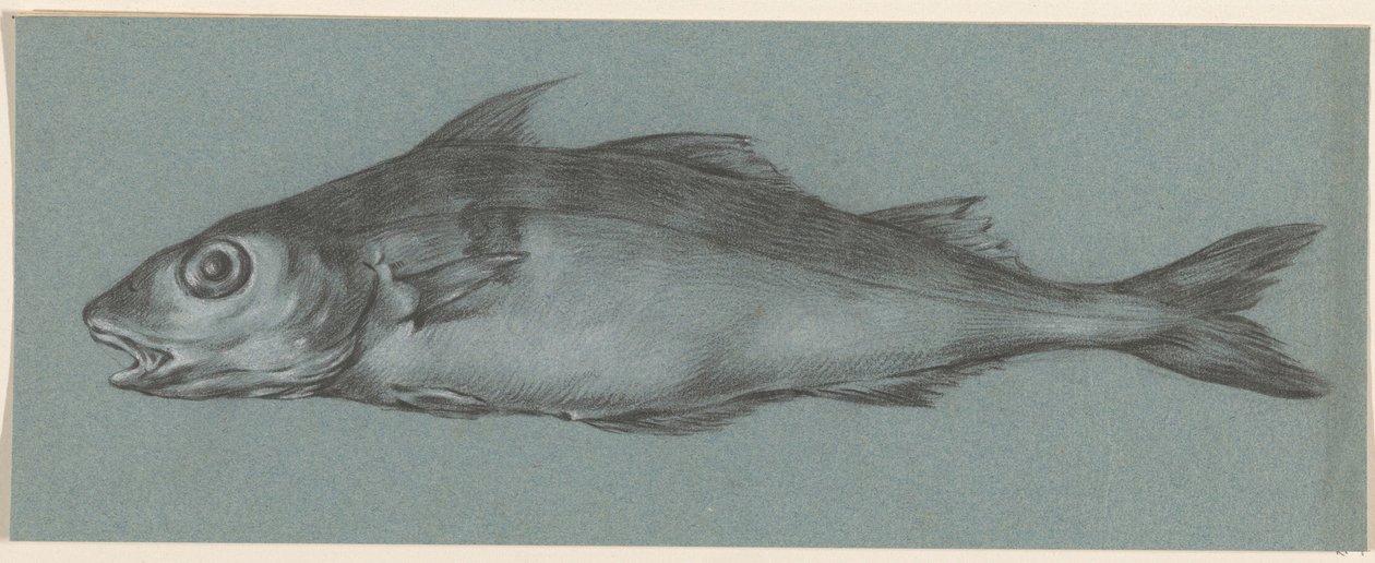 魚、左へ 作： ジャン・バーナード