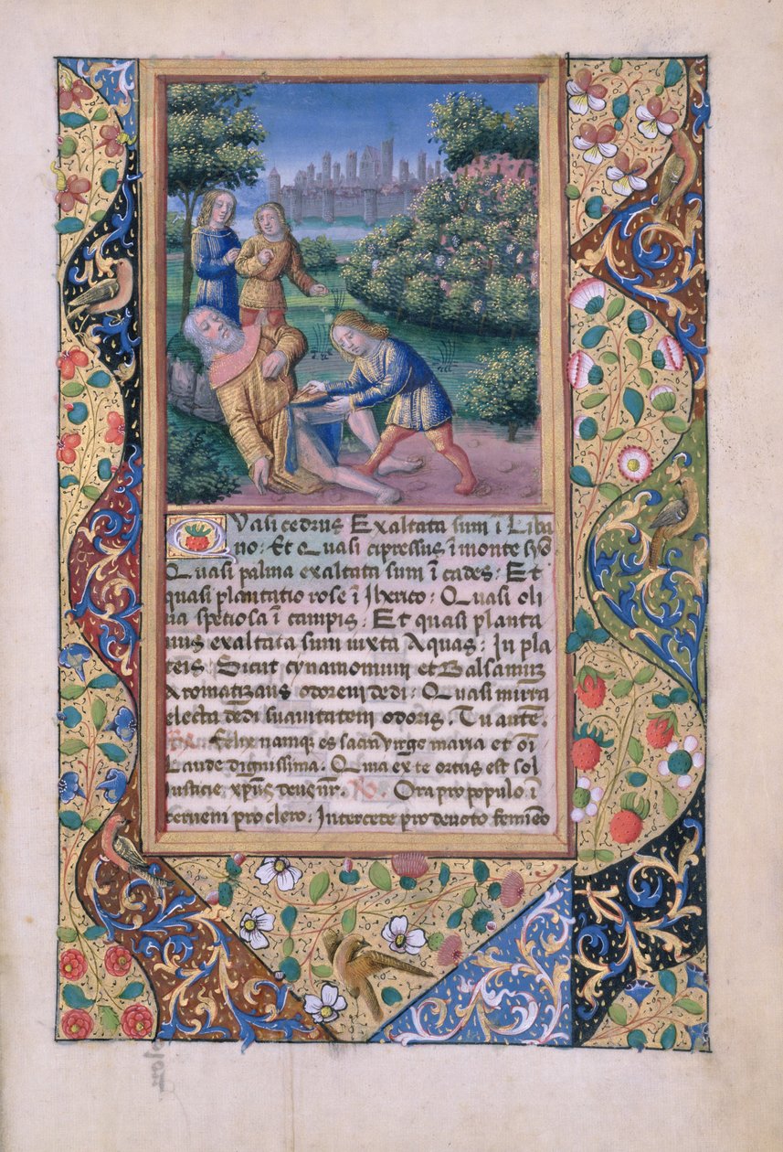 ラットさんQvI126 fol.17ノアの酔い、ルイ・ドルレアンの時間の書、1490 作： ジャン・コロンブ