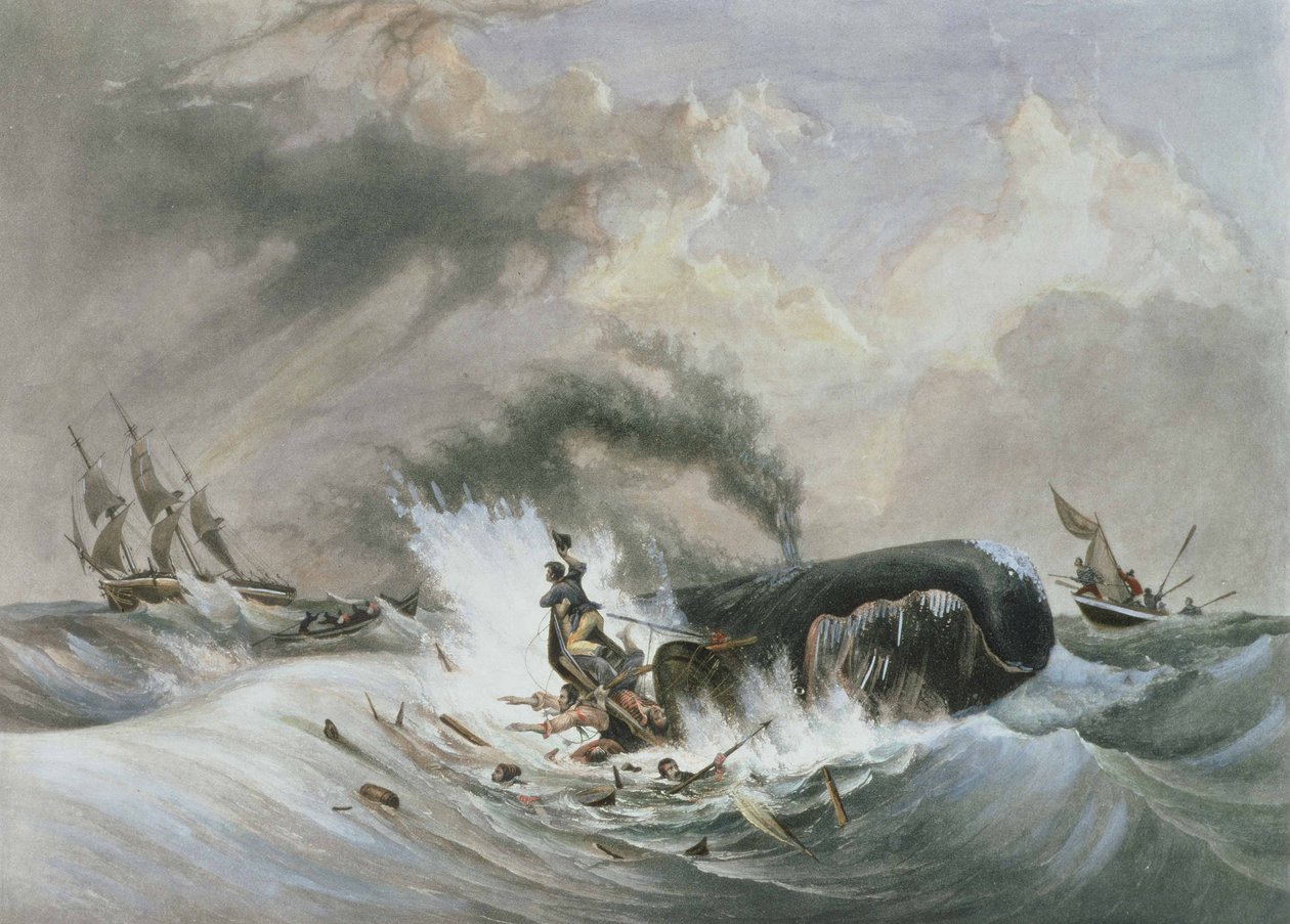 クジラ 作： ジャン・フランソワ（後）ガーネレイ