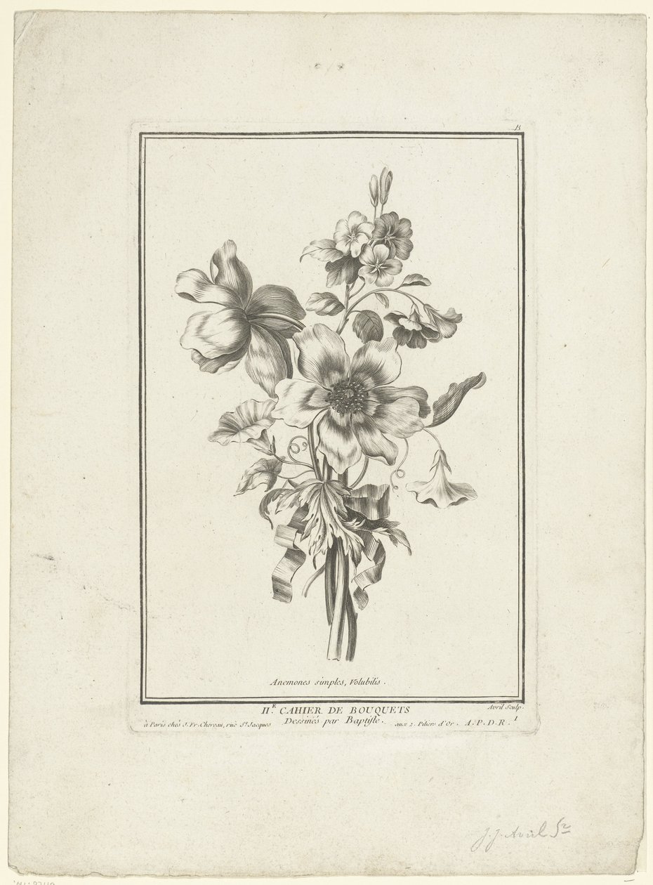 アネモネとヒルガオの花束 イソギンチャク、ヴォルビリス (オブジェクトのタイトル) IIe Cahier de Bouquets (連載タイトル) 作： ジャン・ジャックス・アヴリル（I）