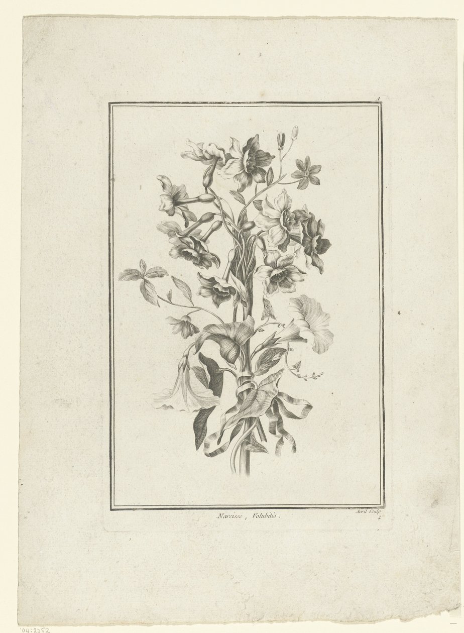 水仙とヒルガオの花束 Narcisse, Volubilis (オブジェクトのタイトル) IIe Cahier de Bouquets (連載タイトル) 作： ジャン・ジャックス・アヴリル（I）