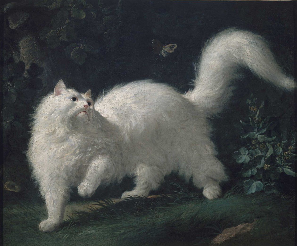 蝶を追いかけるアンゴラ猫、c. 1760年（キャンバスに油彩） 作： ジャン・ジャック・バシュリエ