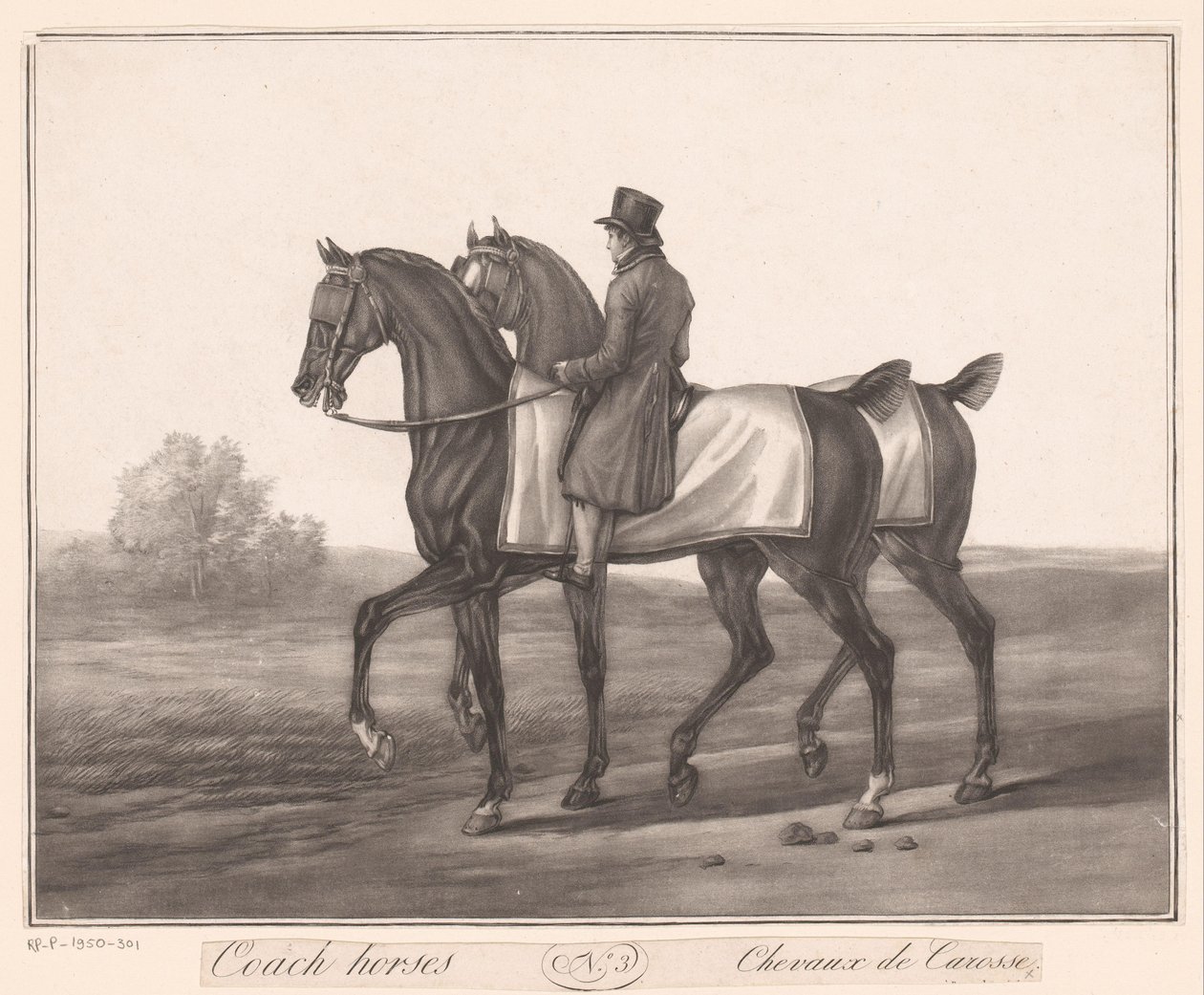 ライダーが 2 頭の馬をガイドします。 Chevaux de Carosse (オブジェクトのタイトル) 作： ジャン・ルイ・ダルシス（帰属）