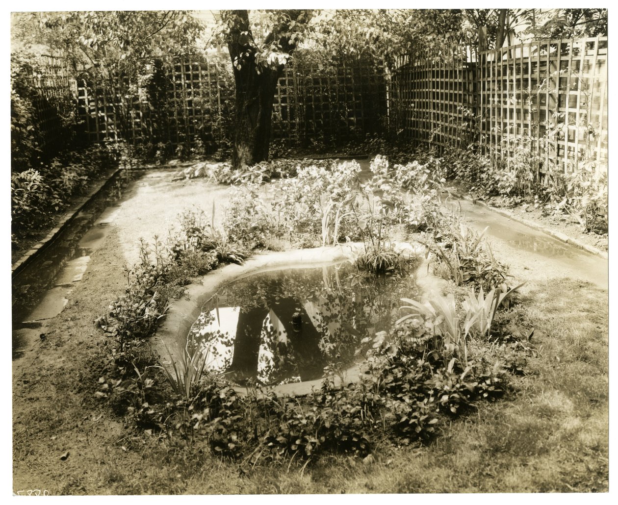 W.H.Wells夫人の庭 アメリカ、ニューヨーク、グリニッジ・ビレッジ、265 W 11th, c.1936-37（ゼラチンシルバー写真 作： ジェシーターボックスビール