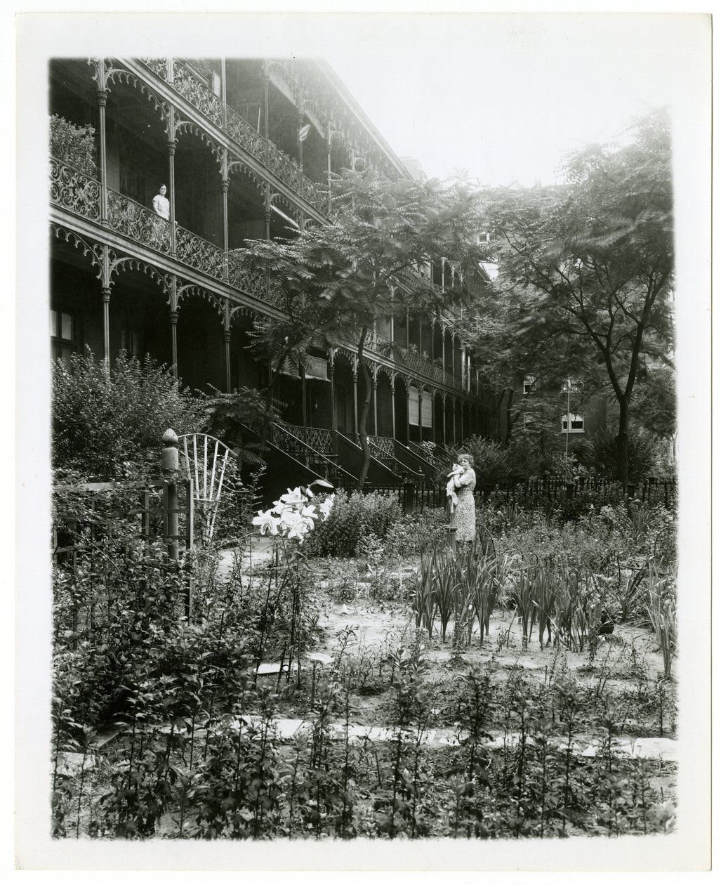 Rhinelander House gardens, W 11th St , Greenwich Village, New York, USA, c.1905-38 （ゼラチンシルバー写真 作： ジェシーターボックスビール