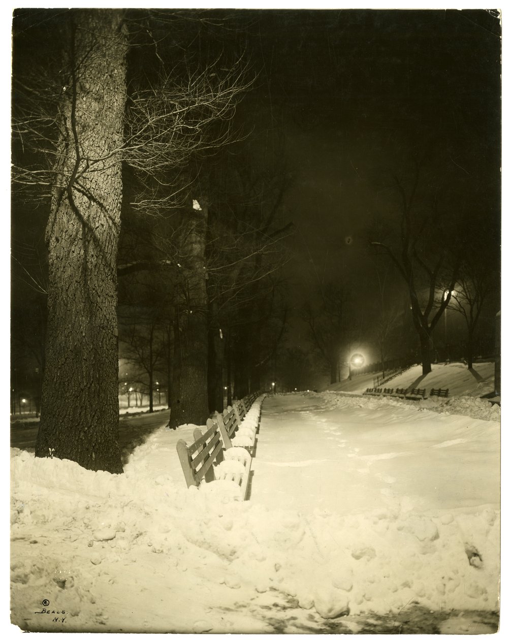 夜のザ・モール（米国マサチューセッツ州ボストン、1902-10年頃）（ゼラチンシルバー写真 作： ジェシーターボックスビール