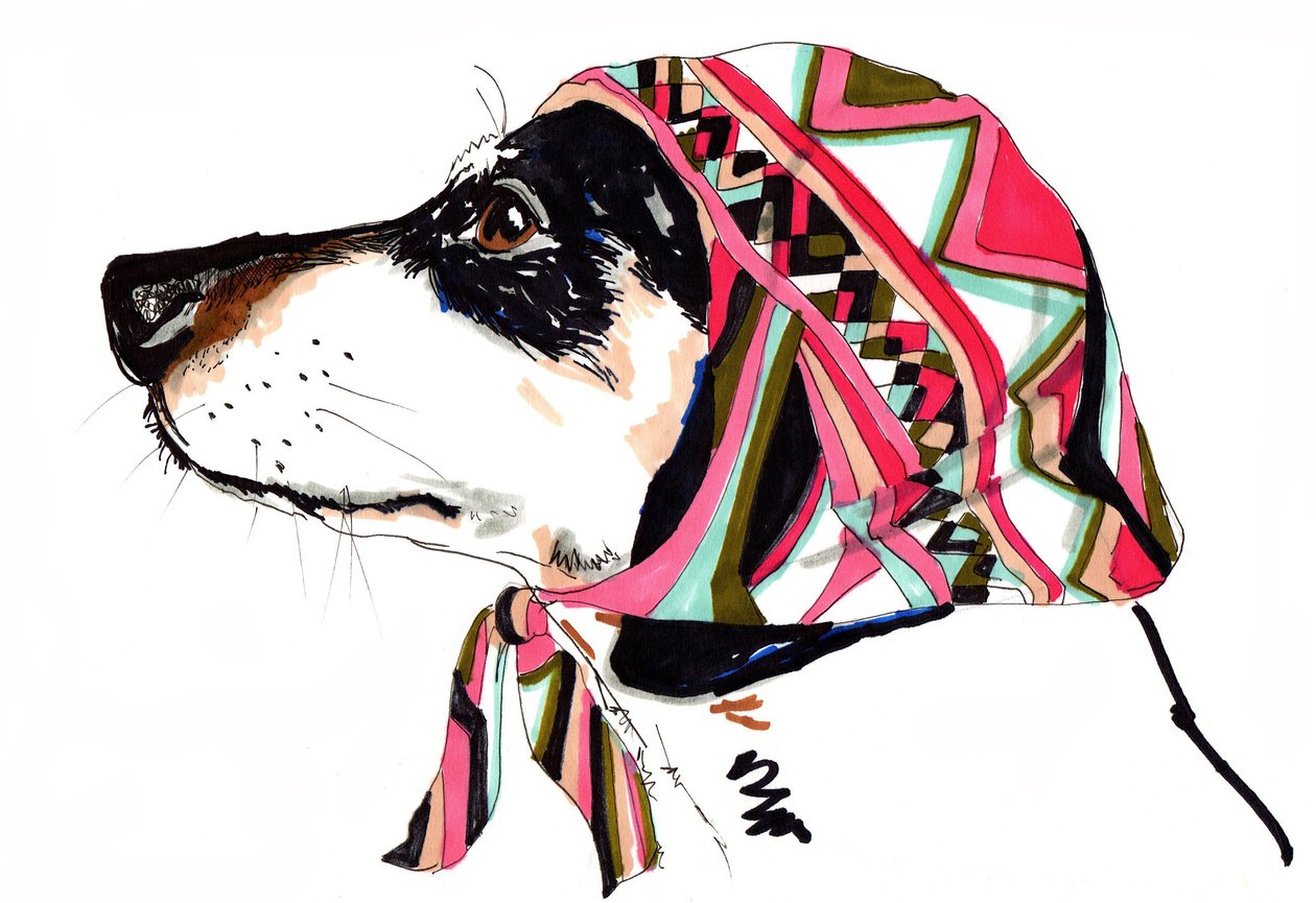 Pooch In Pucci、2012年（紙にペンとインク） 作： ジョー・チェンバース