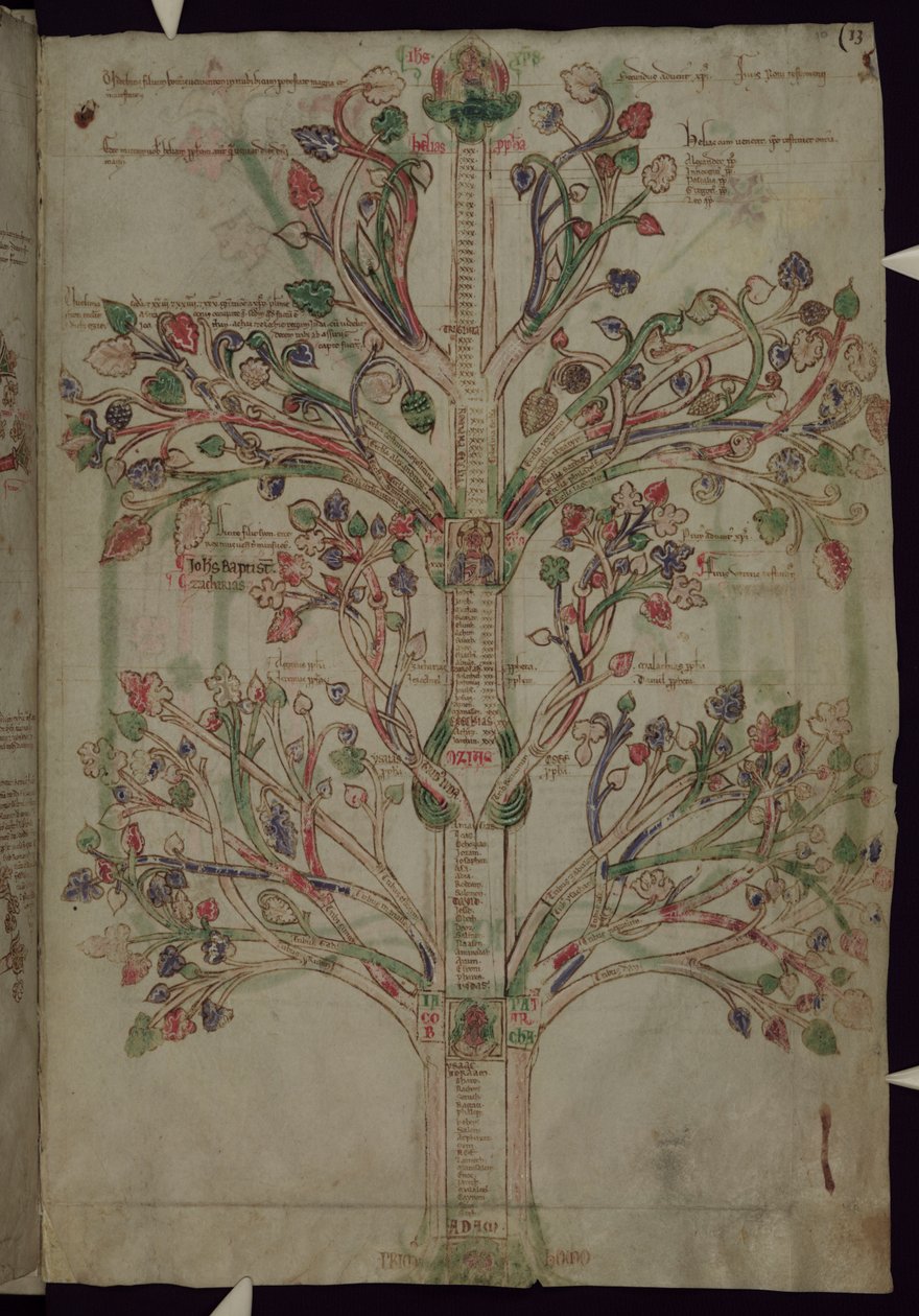 MS 255A fol.10r The Tree of Life、Liber Figuarum 作： フィオーレのヨアヒム
