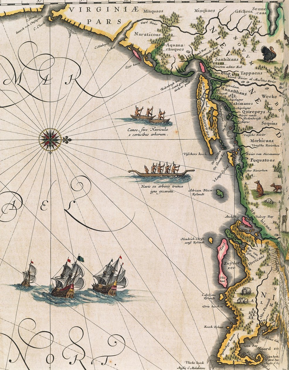 バージニア州沿岸の地図（Joan Blaeu著「Theatrum Orbis Terrarum」より 作： Joan Blaeu