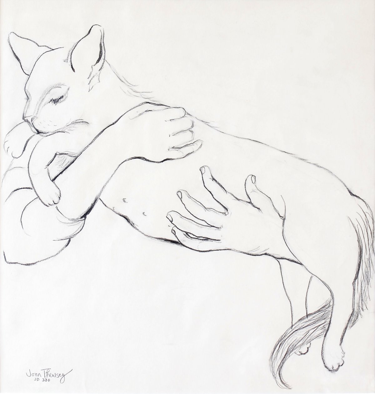 カドリーキャット、2000、（鉛筆） 作： Joan Thewsey