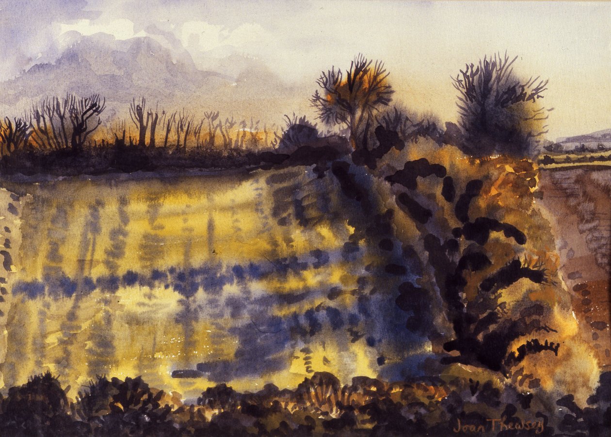 長い影のあるフィールド、1990、手作りの紙の水彩画 作： Joan Thewsey