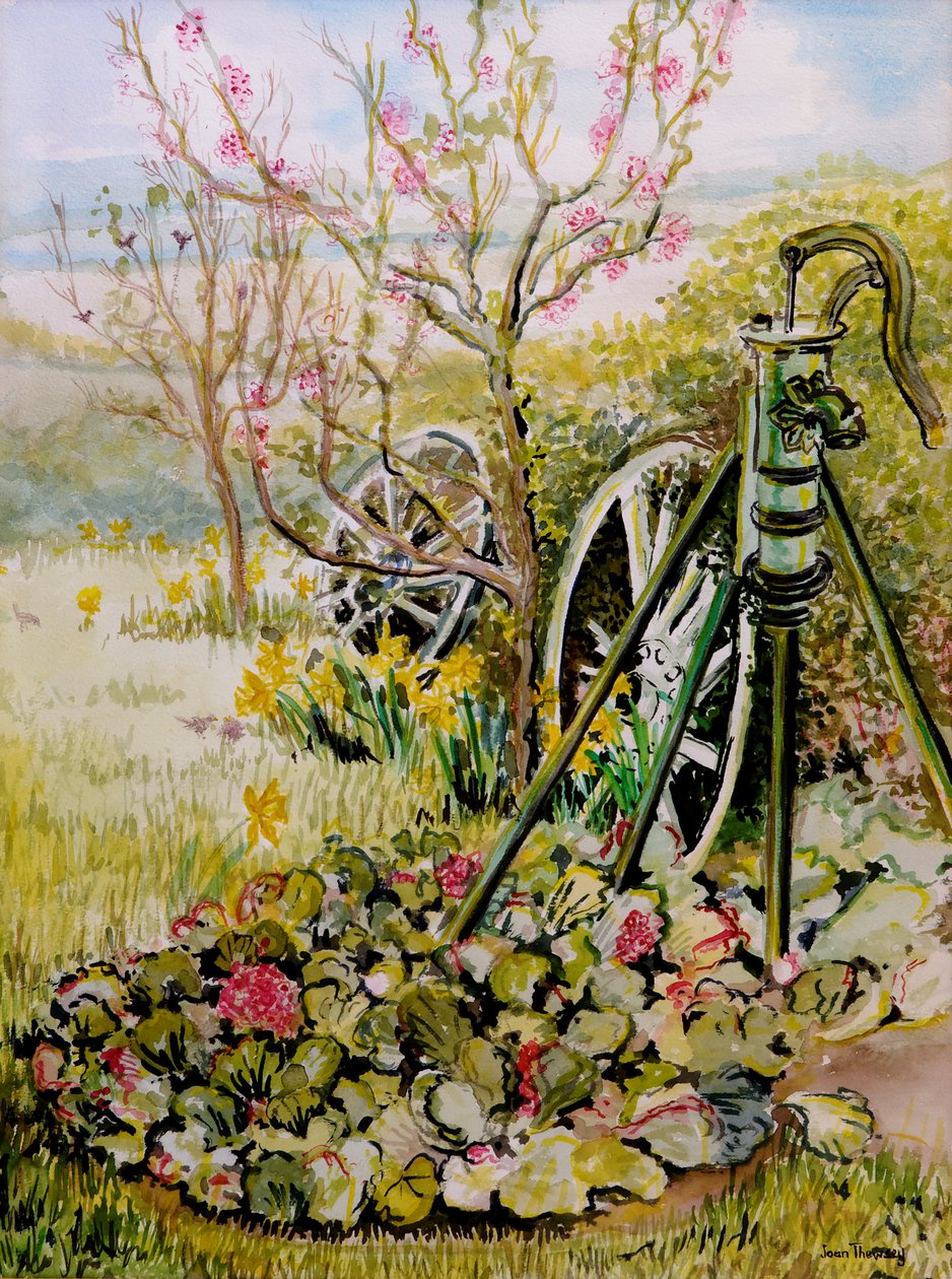 ガーデンポンプ、2010、水彩 作： Joan Thewsey