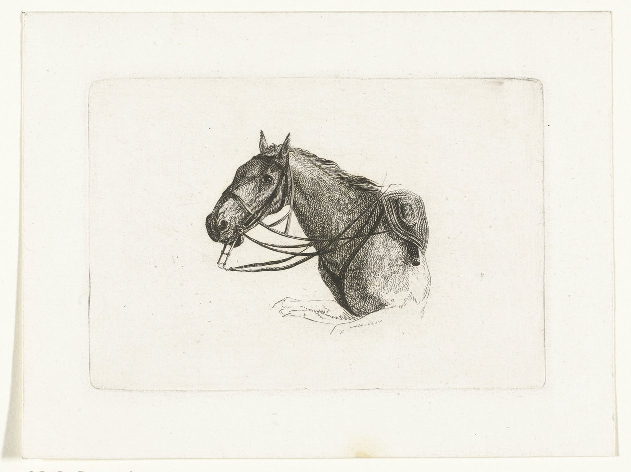 左に馬の頭 Dirk Langendijk の後の馬の頭 (シリーズ タイトル) 作： Joannes Bemme