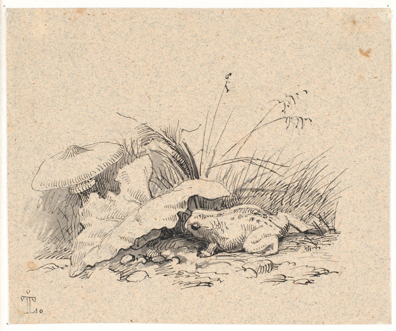 Skrubtudsen   1262291   ja       japanese Successfully Translated  Original: Children browsing picture book Translat: Children browsing picture book 1414372 ja japanese Successfully Translated Original: Figure Studies [verso], late 19th-early 20th century. 作： ヨハン・トーマス・ランドバイ