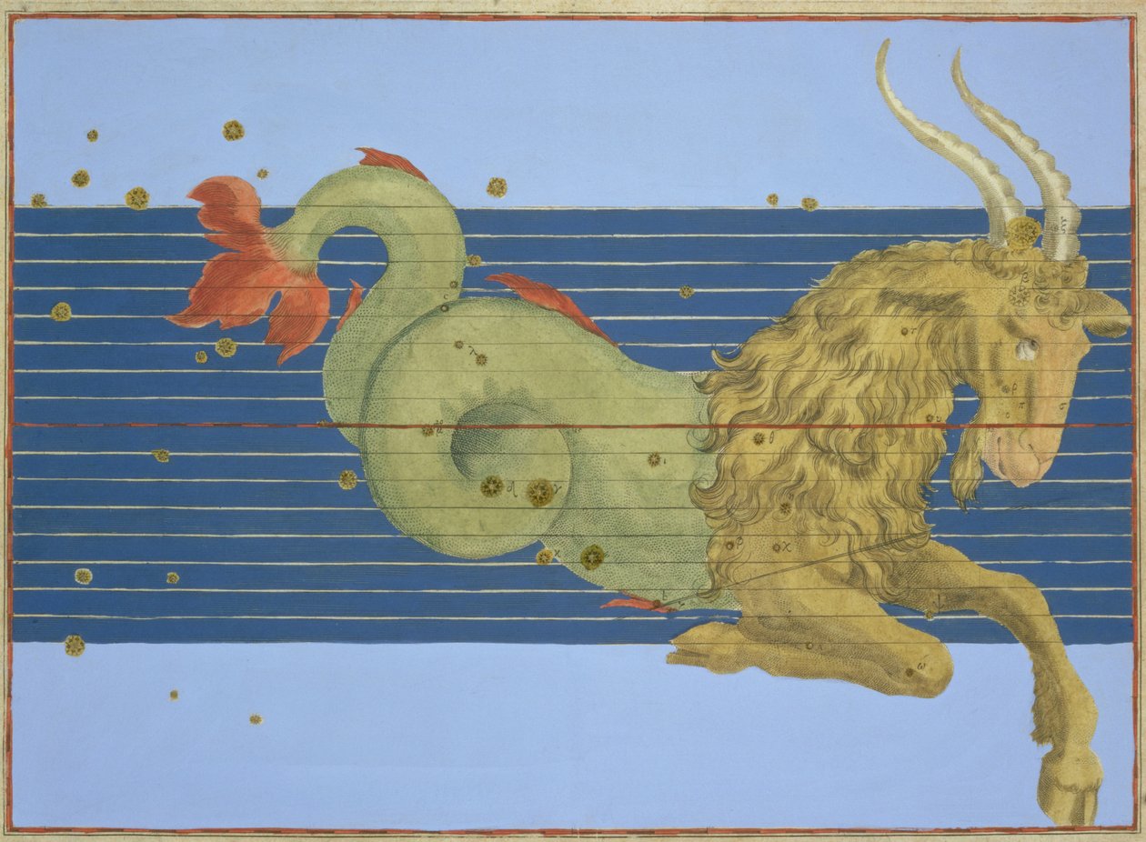山羊座の星座、ヨハンバイエルの「ウラノメトリア」から、アレクサンダーメイル（1559-c.1616）1603（手彩色の銅版画） 作： ヨハン・バイエル