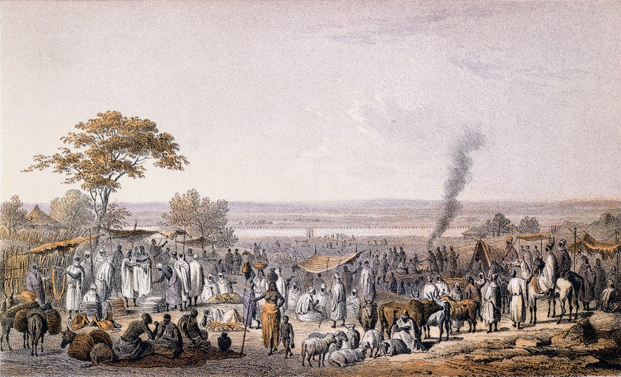 Eberhard Emminger（1808-85）によって刻まれたハインリッヒバース（1821-65）による「北アフリカと中央アフリカの旅と発見」からの1853年のソコトの市場1857年に出版された（カラー彫刻） 作： ヨハン・マーティン・ベルナッツ